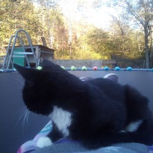 Meet your Posher, Bessie